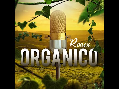 Renex - Loba Salvaje 2 [Official Audio]