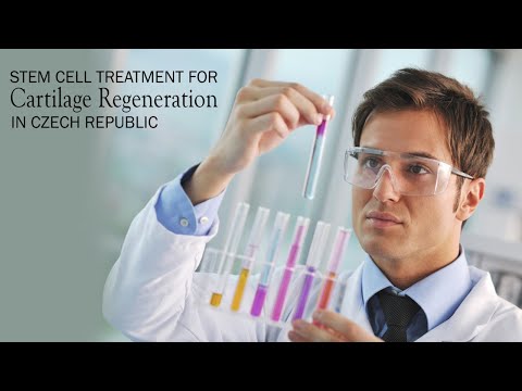 Affordable and Effective Stem Cell Treatment for Cartilage Regeneration in Czech Republic