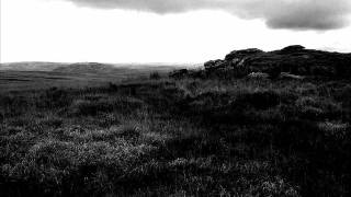 AMBER ASYLUM | Black Waltz