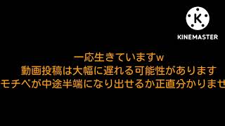 今後の活動と生存報告