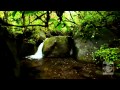 Ahmad Zahir-DIlam Dar Asheqi-New Song HD ...