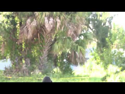Volusia Active