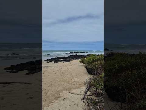 Ecuador, Galapagos Island, Isla Isabela
