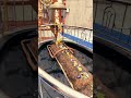 Tadkeshwar Mahadev Temple Valsad Gujarat ️