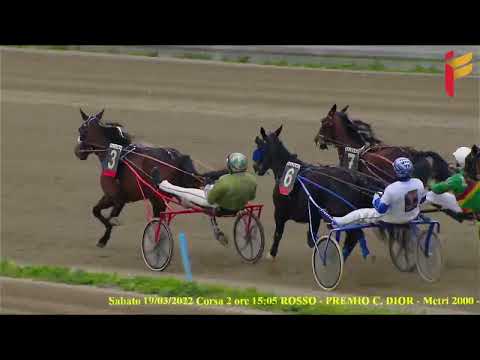 II Corsa del 19 Marzo 2022 - Metri 2000 - 5 e 6 Anni - Gentlemen