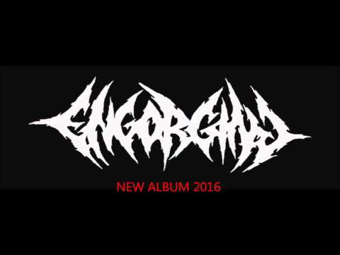 ENGORGING PREPARE NEW ALBUM