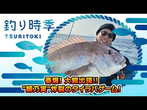 春爆!大鯛出現!!”鯛乃実”炸裂タイラバゲーム!!（釣り時季/2023年4月9日放送）