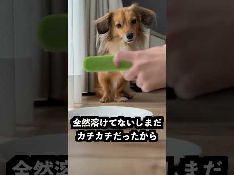 絶対溶けないアイスをなんでも溶かす石に乗せれば溶けるはず！！