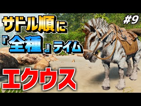 エクウス (エクウス属)について詳しく解説