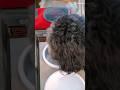 Houdini dog wiping after drinking #dogvideos #manners #dogtraining #dog #cutedog #dogshorts #fyp