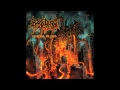 Back Door To Asylum - Auroral Plasmagenesis (ft ...