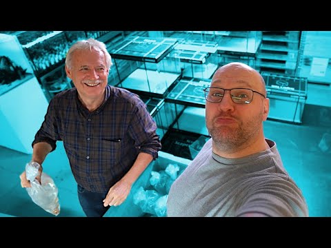 Wir packen weiter aus | AQUARIUM FISCH UNBOXING 21 #11.2