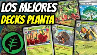 CARTAS que hicieron META al TIPO PLANTA / Pokémon TCG / MomoTCG