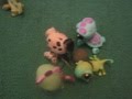 Foot Pet Shop