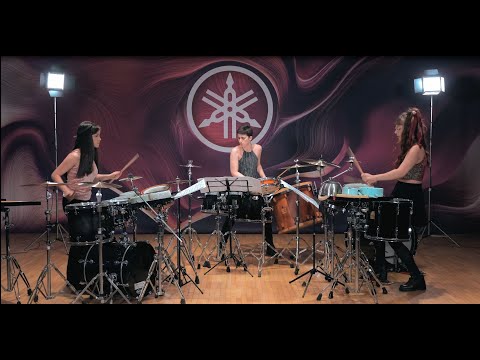 SANDY the Hurricane for Percussion Trio  by Nebojsa Jovan Zivkovic
