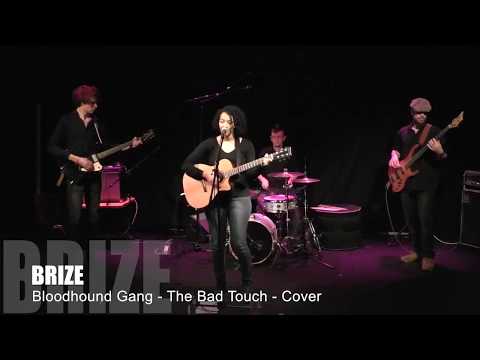 Bloodhound Gang - The Bad Touch - Cover by Brize