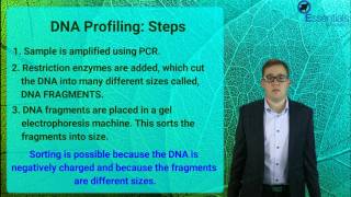 Essentials Concept Video SACE2 Biology - Fingerprinting and Profiling