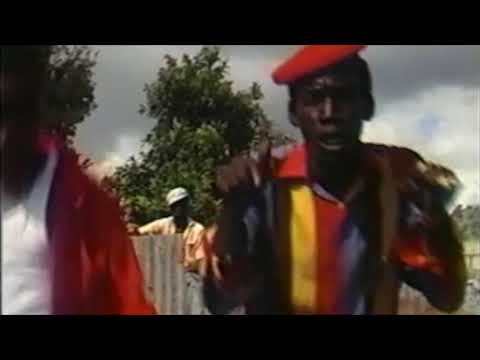 General Trees - "Eye No See" Master quality.