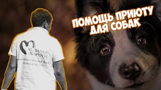 ПОМОЩЬ ПРИЮТУ ДЛЯ СОБАК