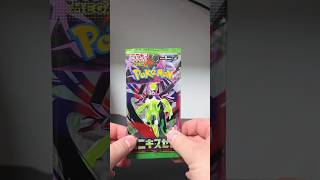 포켓몬카드 일판 니힐제로 카드까~! #pokemoncards #포케몬카드깡 #pokemontcg #pokemon
