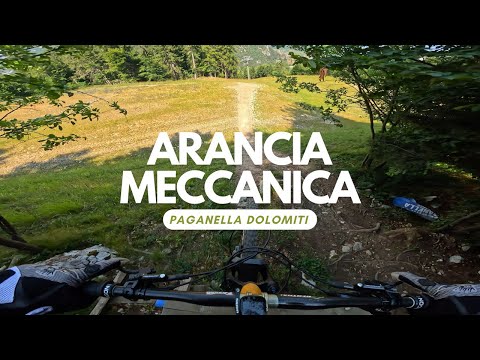 Arancia Meccanica Black Line Bikepark Paganella Dolomiti Italy 🇮🇹 full run RAW