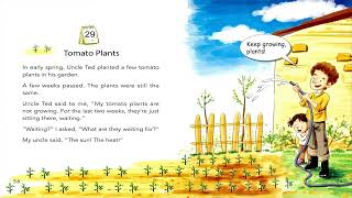 One story a day - Book 3- 29. Tomato plants