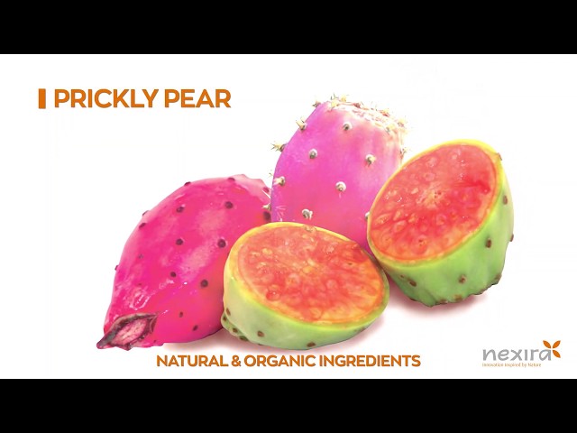 imagen-video-thefoodtech