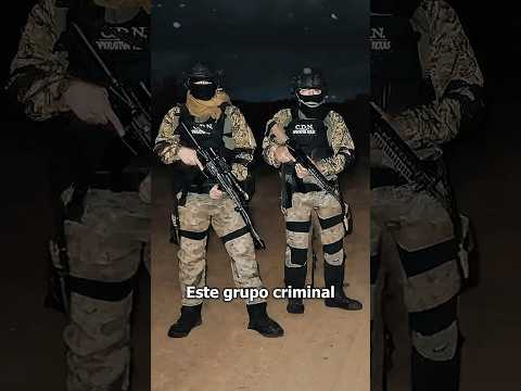 The Dangerous Northeast Cartel (CDN) 🚨