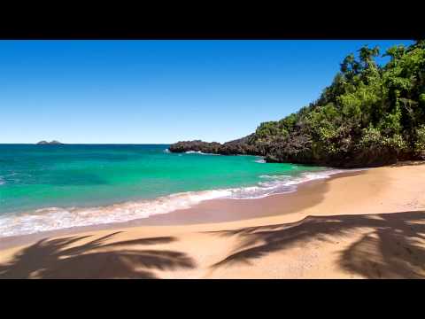 8 Hours of Relaxing Oceans Sounds at Las Canas Beach - Waves for Study, Meditation, Sleeping Video