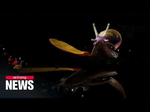 Race for 6G: World where you can meet people via holograms