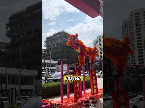 🐲😱Kimse bundan sonra gösteriye devam edeceklerini beklemiyordu!