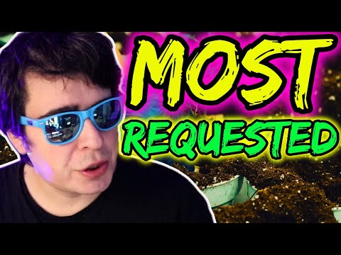 BEST ORGANIC SOIL RECIPE FOR BIGGER YIELDS | MOST REQUESTED VIDEO