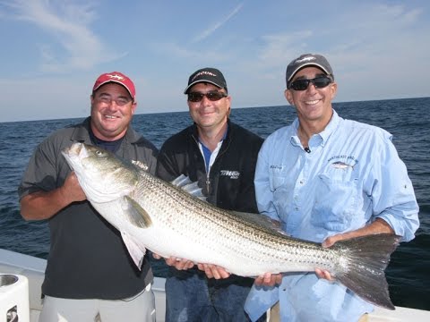 Striped Bass, Sea Bass & Fluke - Block Island, RI