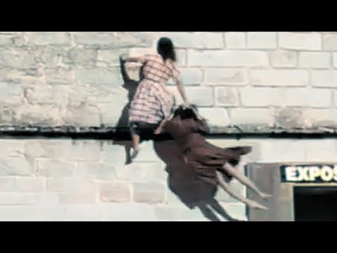 5 Extreme Horror Videos That Will Keep You Up at Night 2023 (Vol. 38)