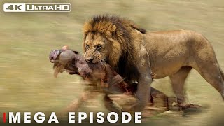 Ultimate Predators MEGA EPISODE | World's Deadliest | Nature Animal Documentary
