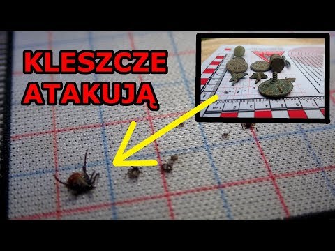 Bolerioza ?? Oby nie..Odc.171