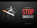 The Truth Of Drugs Humorious Documentary