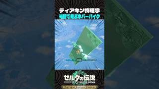 ティアキン物理学! 光線で飛ぶホバーバイク【ゼルダの伝説 ティアキン】