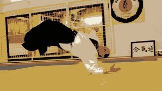 preview picture of video 'Aikido Mariánské Lázně exhibice 2012 - dlouhá verze'
