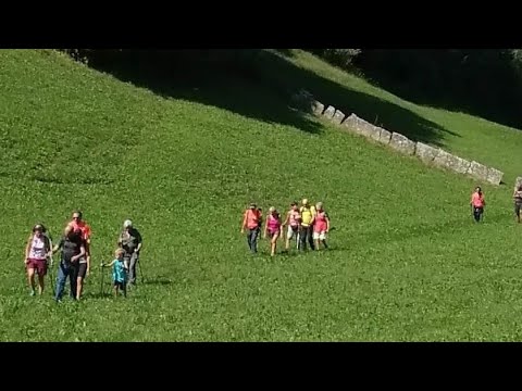 Contrade di Rovere' Veronese