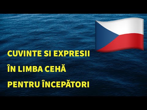 Cuvinte și fraze in limba cehă pentru începători. Studiați limba cehă fără efort.