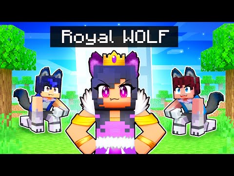 Aphmau - Playing as the ROYAL WOLF in Minecraft!