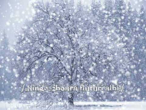 A venit din vesnicie -  Paul Muresan