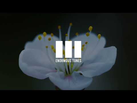 Helvetic Nerds - Nightingale