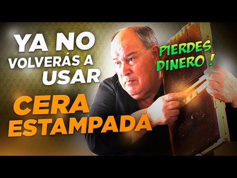 Part 6 | Commercial hives harm and sicken bees - Complete Beekeeping Course by Oscar Perone