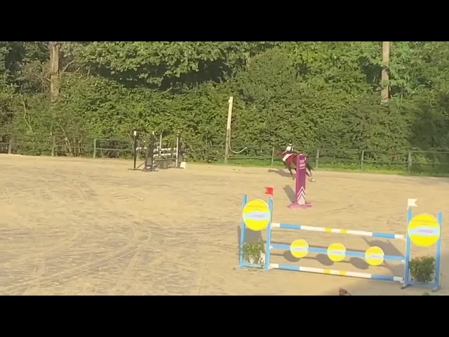 Gold - Poney d'Exception, Super resultats PElite/As2