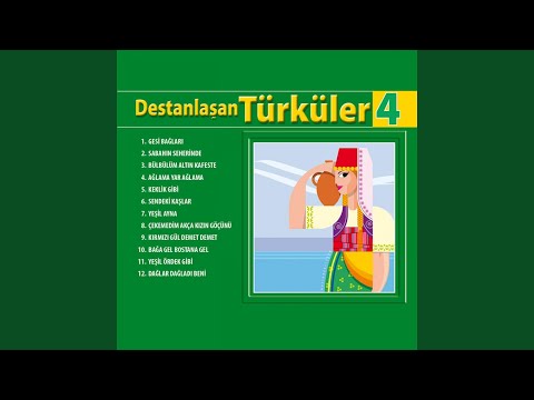 Video Yükleniyor...