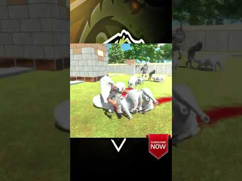 MUTANT PRIMATES [ GORO ]VS 20 POLAR BEAR [ MODERN MAMALS ] #shorts