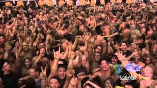 Rollins' Band - Right Here Too Much (Live from Woodstock '94)
