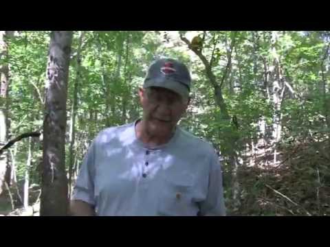 FAQ 58  ( How much land needed for shooting)